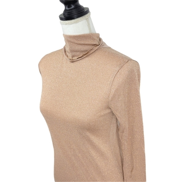 J. Crew Tan With Metallic Gold Flake Turtleneck - Picture 7 of 11